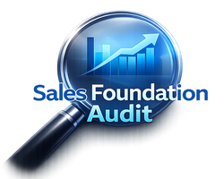 Sales audit System